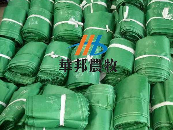 67534819287772100 拷贝_副本.jpg